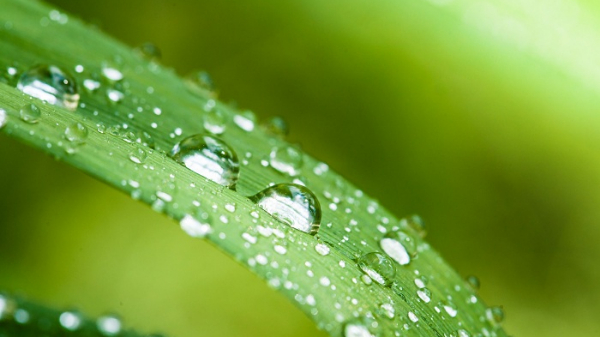 潮濕多雨天氣，人都要發(fā)霉了，那些電氣設(shè)備該怎么辦？